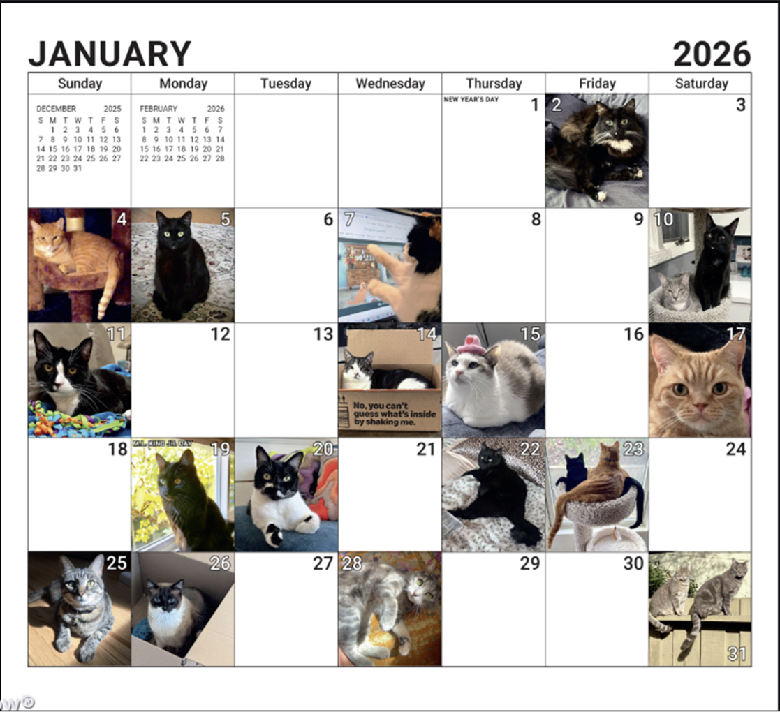 January